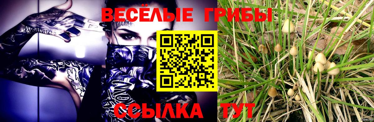 цены наркотик  Вход с VPN  Ижевск  Галлюциногенные грибы Cubensis 