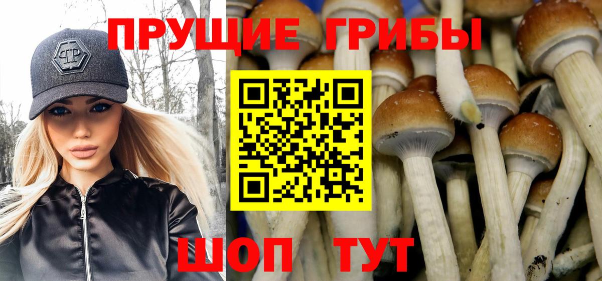 Галлюциногенные грибы прущие грибы Ижевск